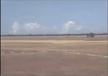 Ali libere sulla palude