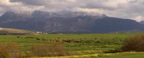 Kif Kif Siciliani di Tunisia