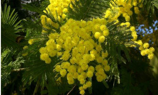 L'Aquila, Donne, padrone della loro vita, protagoniste della societa'