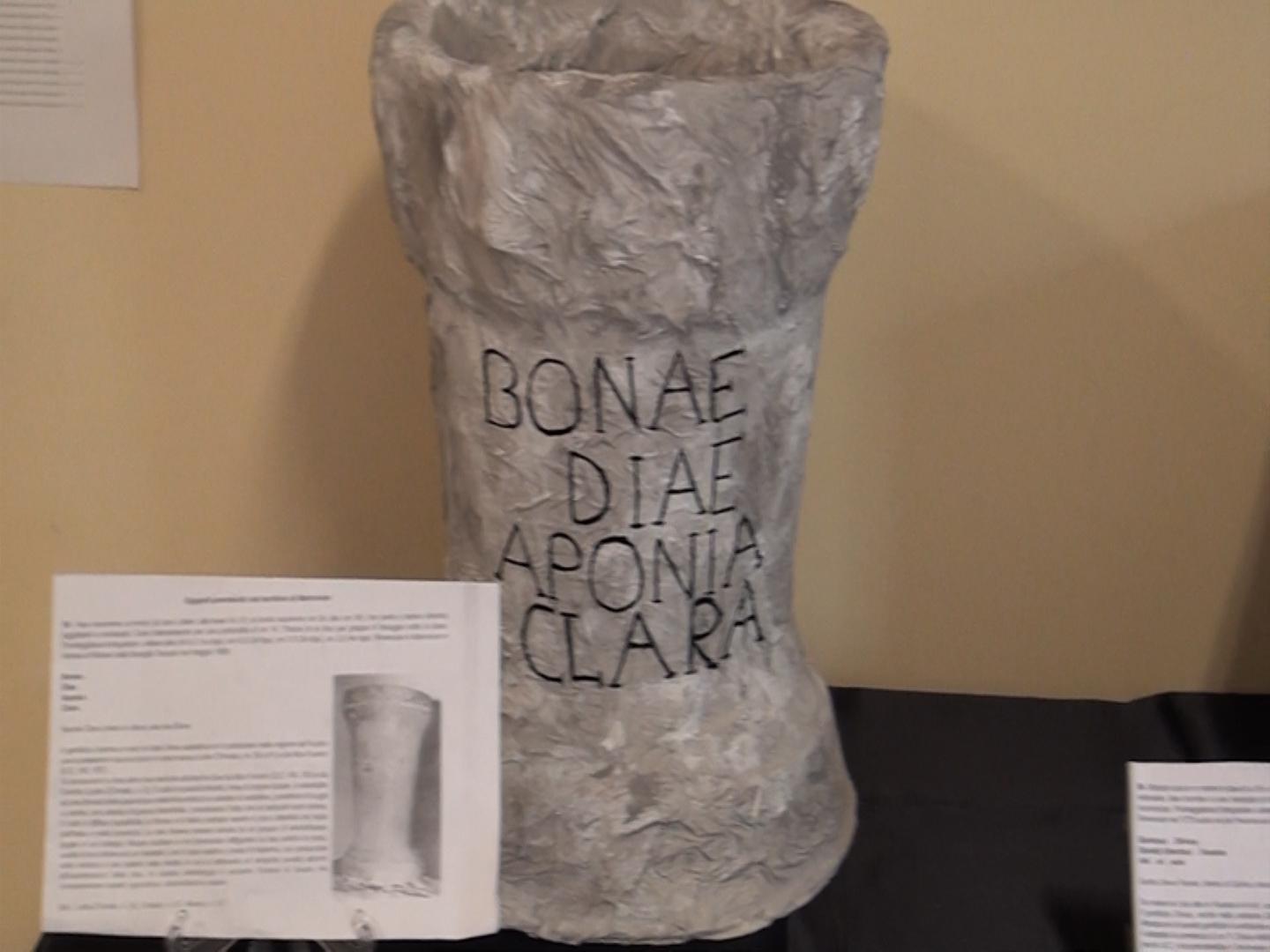 Certamen Sallustianum: l'aquilano che cambiò la letteratura latina